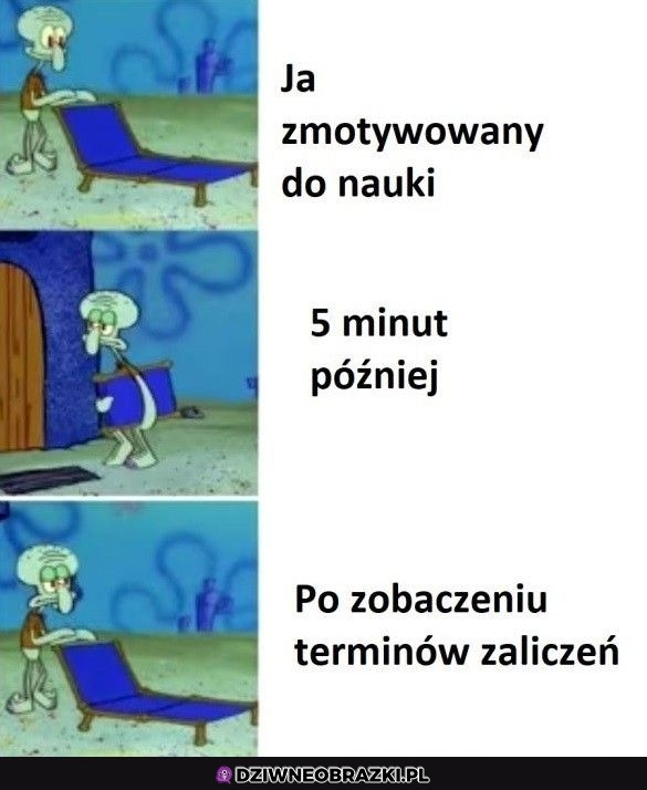 Jednak nie ma wyboru