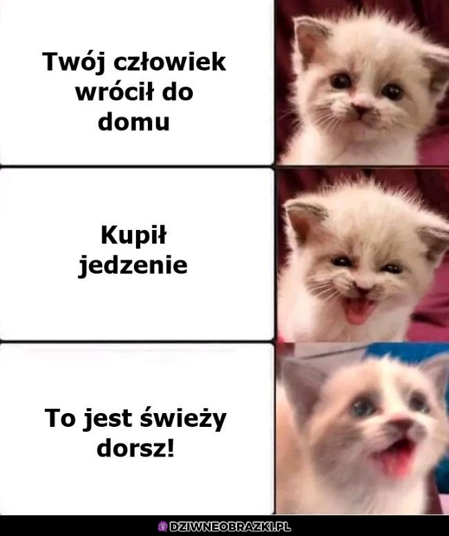 Najlepiej