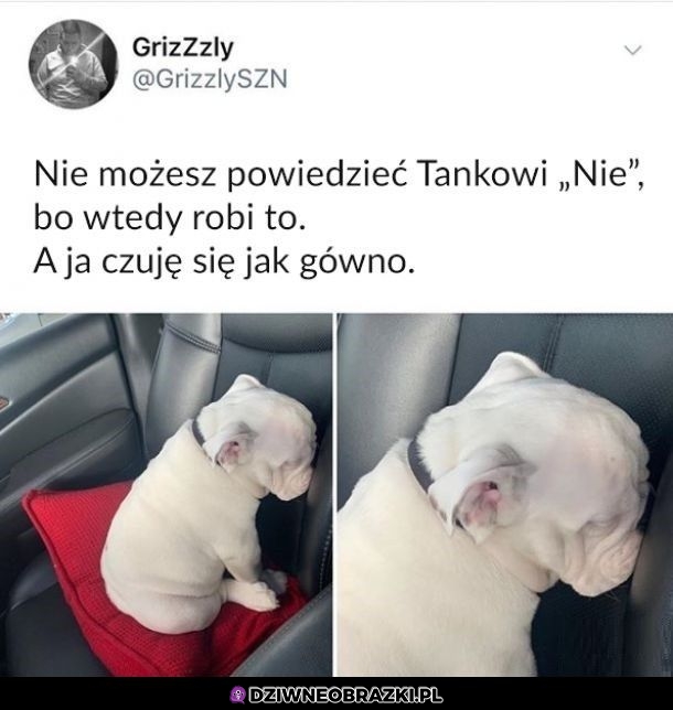 Nie mów mu nie