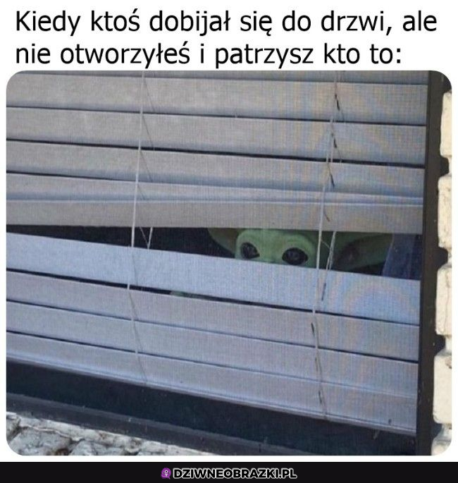 Jeszcze jesteś jedynym dorosłym... 