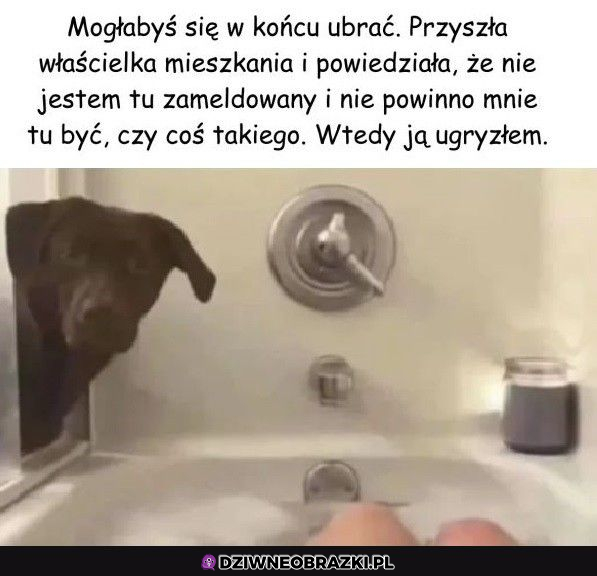 Ubieraj się