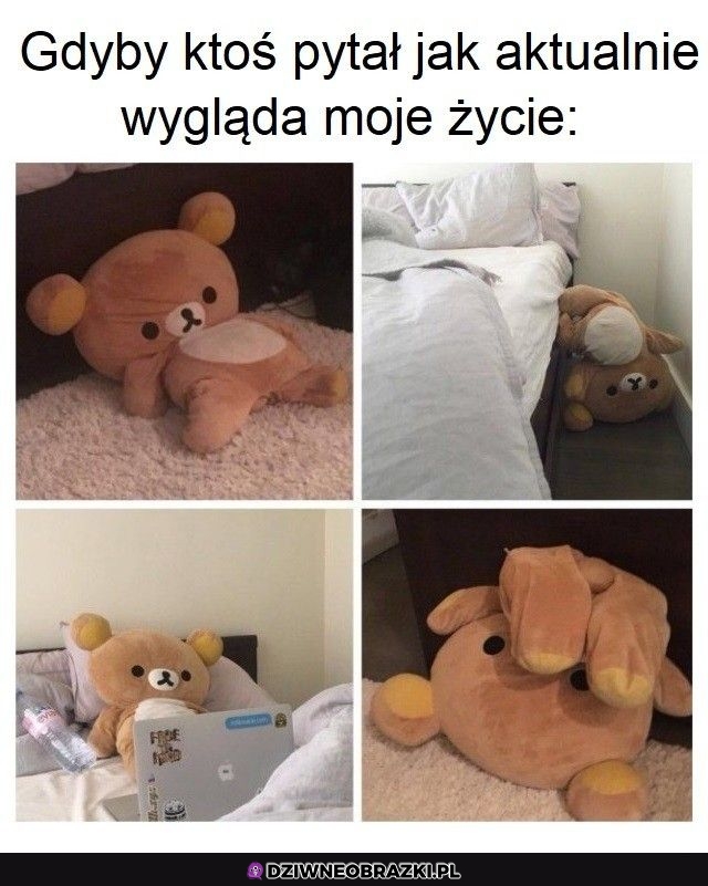 Właśnie tak to wygląda