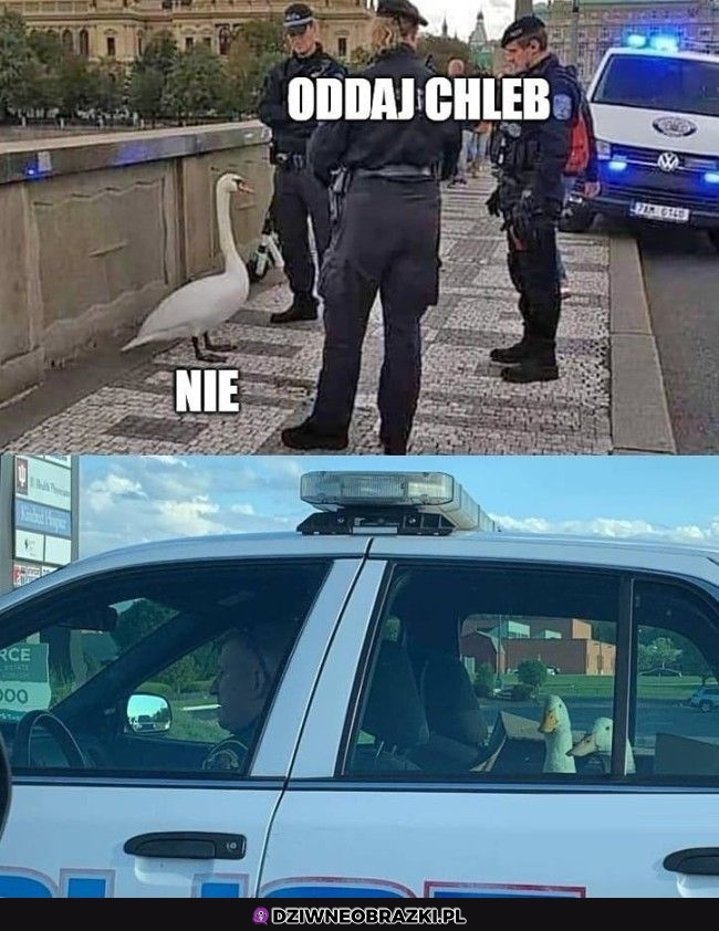 Zbagietowane