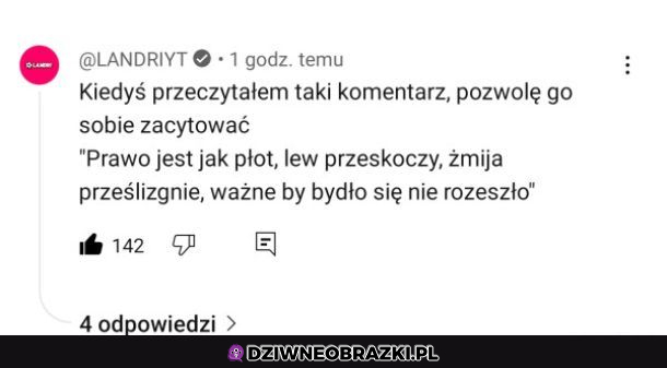 Prawo jest jak...