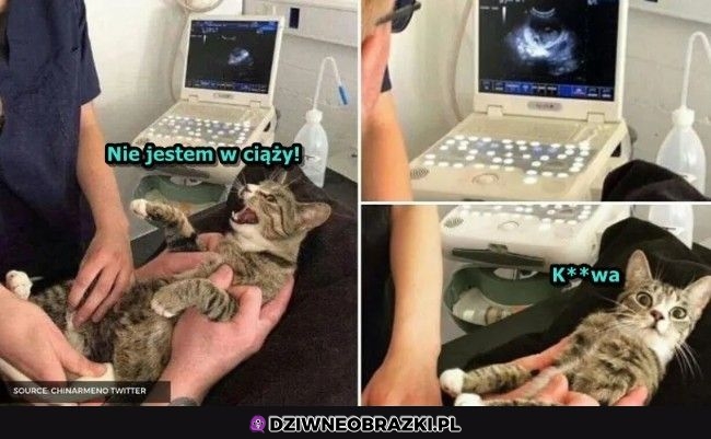 Czyli to po prostu tłuszczyk?