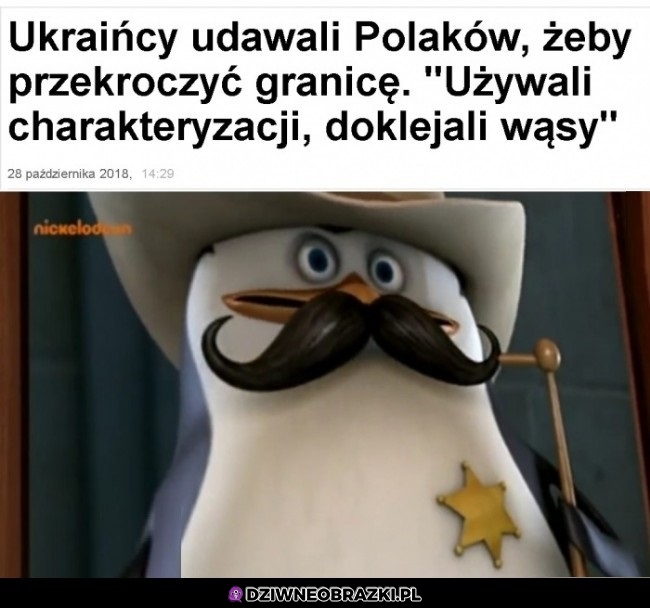 Kamuflaż