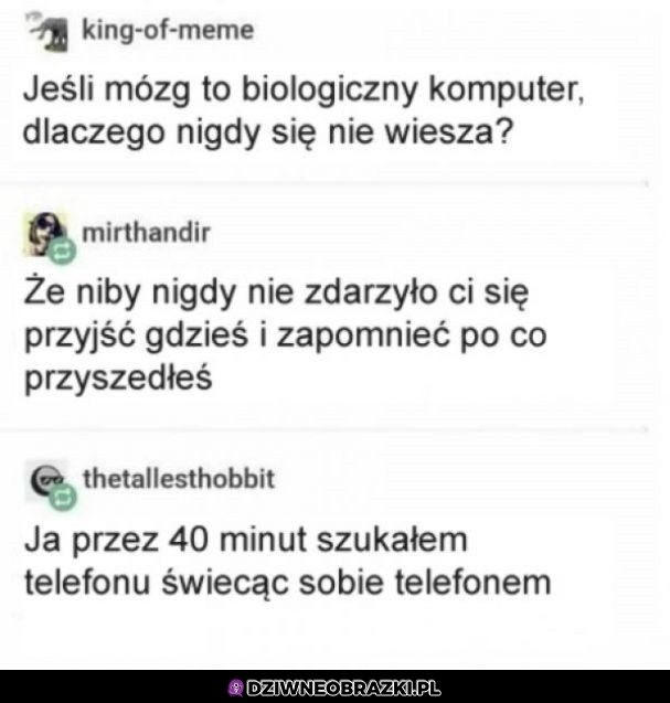 Biologiczny komputer