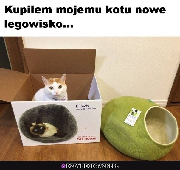 Dziękuję człowieku