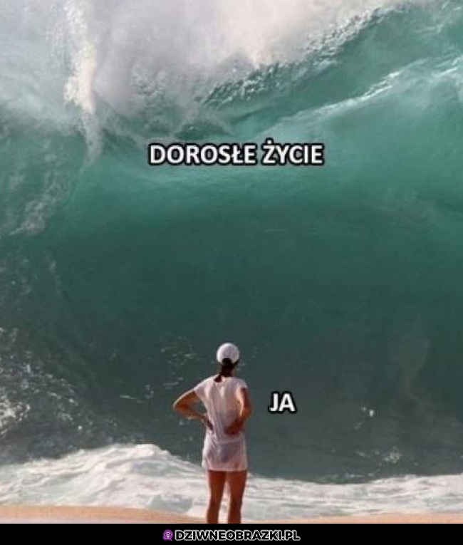 Jakoś leci