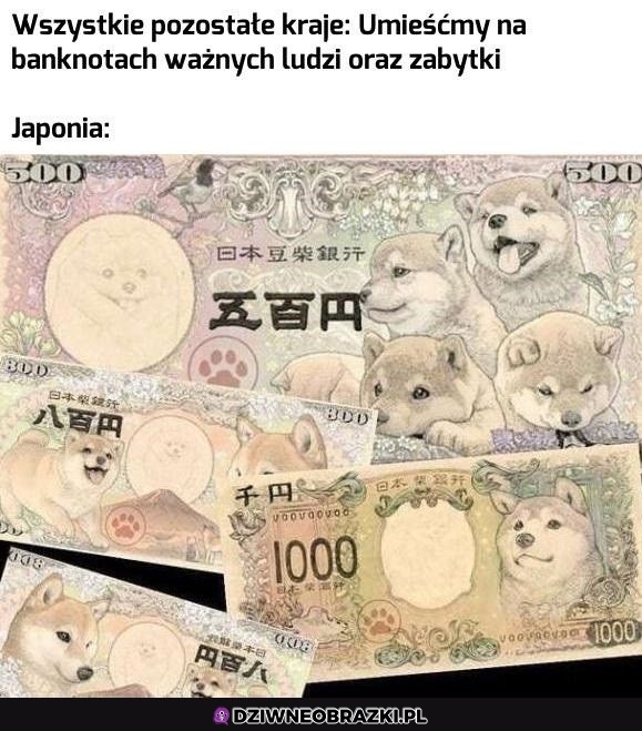 Najlepsze banknoty