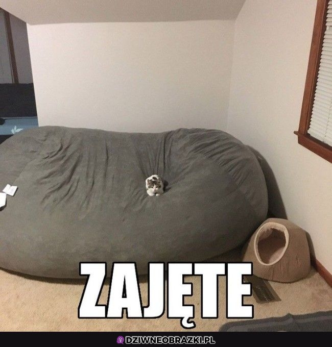 Nie ma siadania