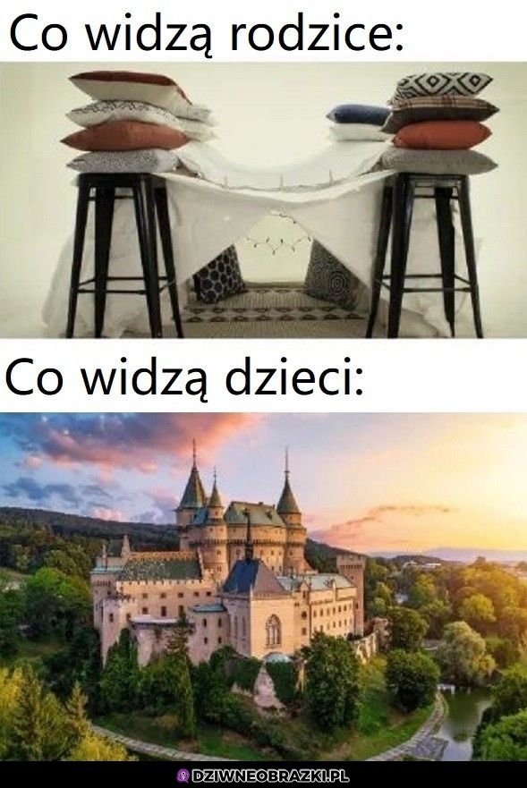 Najlepsza baza