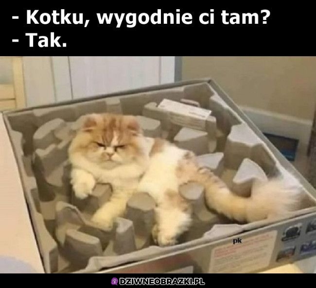Najwygodniej