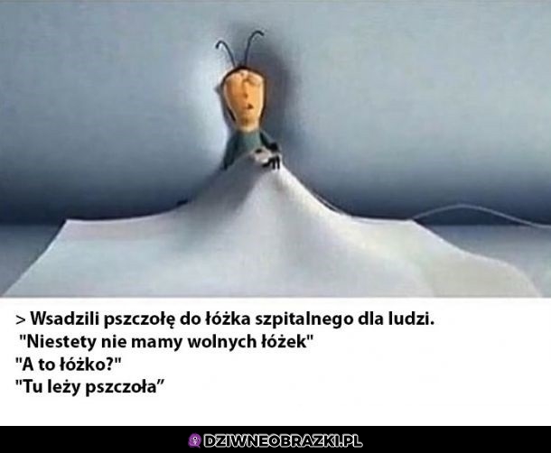 Pszczoła
