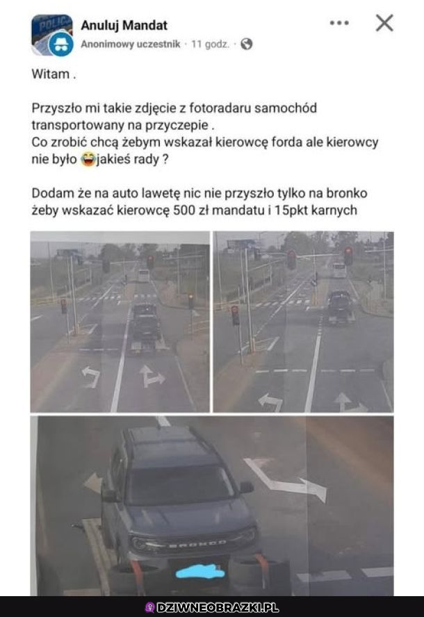 ale foteczka