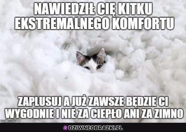 Kitku komfortu