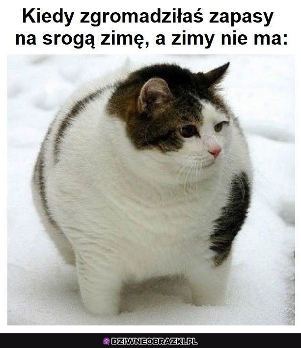 Ech nie warto było