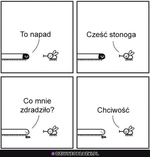 Napad stonogi :P 