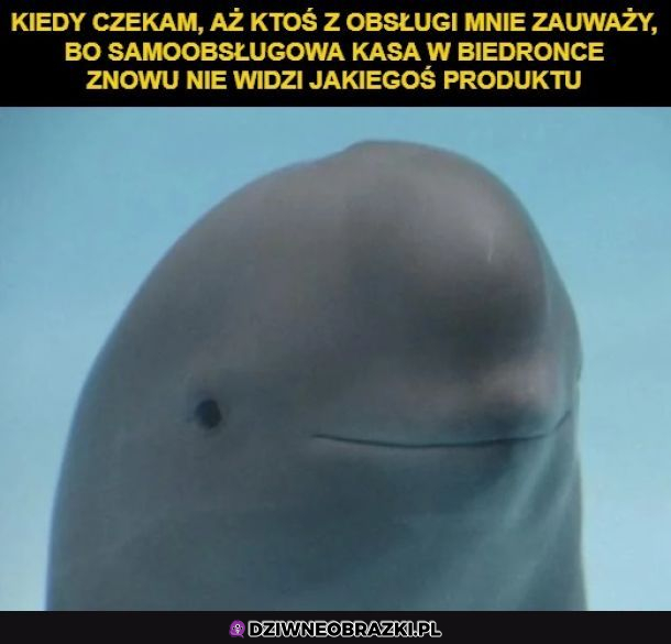 Kasa samoobsługowa