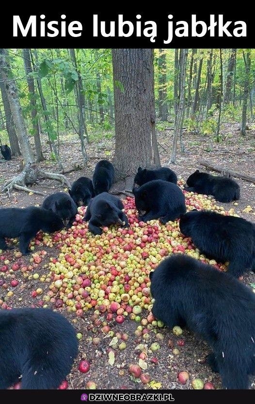 Najlepiej jak zfermentują
