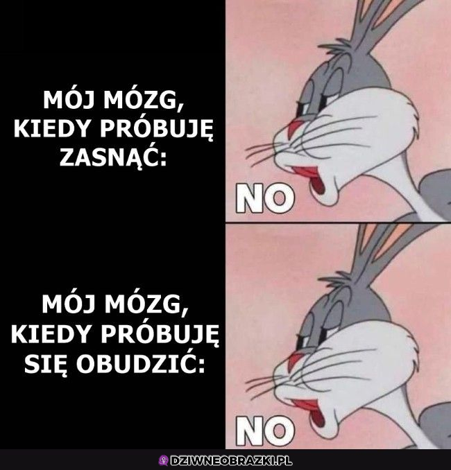 Dzięki mózgu