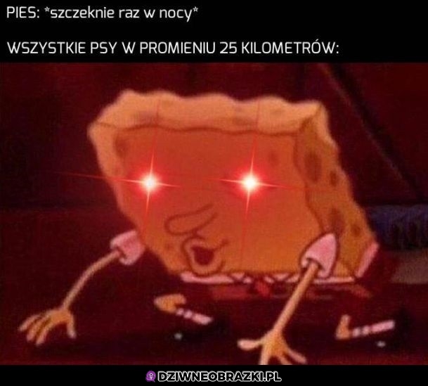 Ten moment
