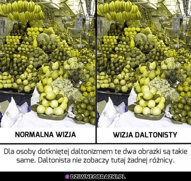 Normalny vs daltonista