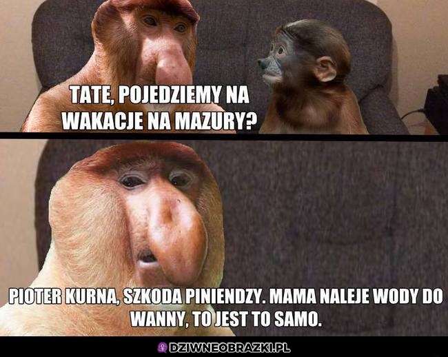 Wakacje