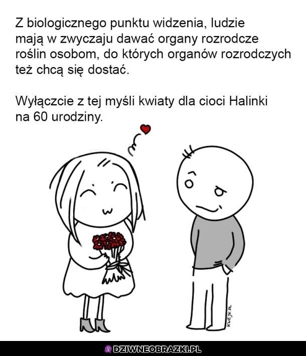Kwiatki