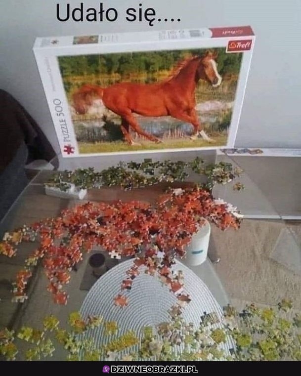 Nareszcie, tydzień zajęło