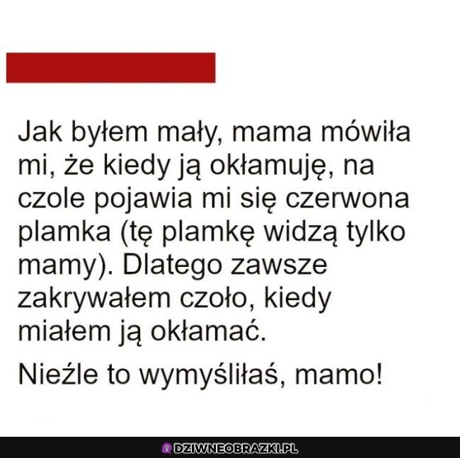 Świetny pomysł
