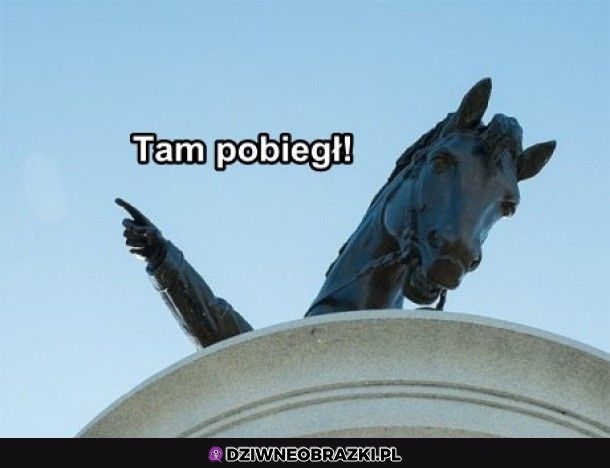 O tam!