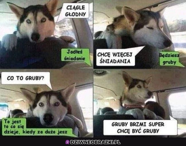 To brzmi super