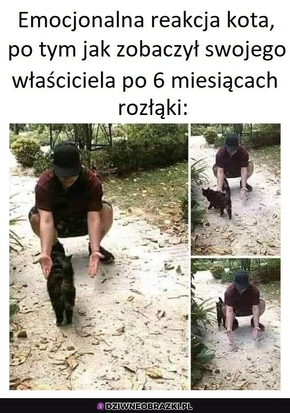 Pełna emocji