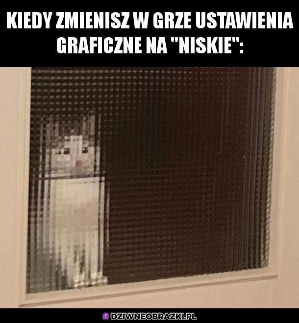 Niska grafika