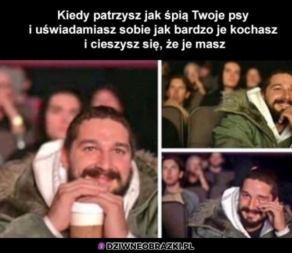 Pieseły