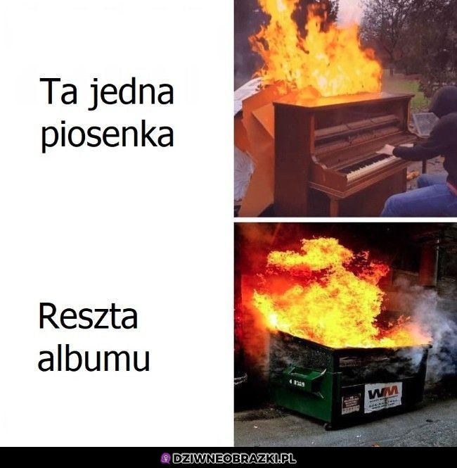 Albumy takie są