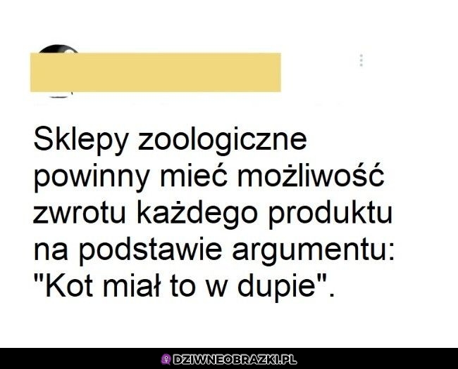 Przydałoby się