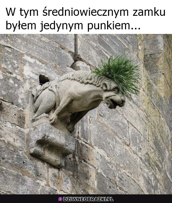 Punk żyje do dziś 