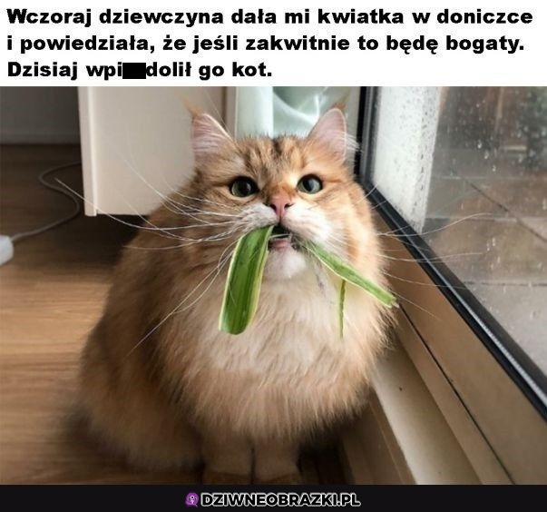 No i to tyle