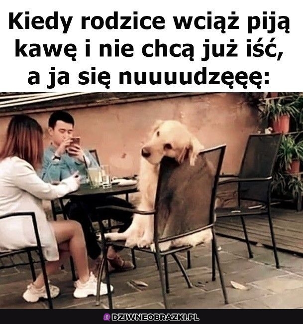 Tak było