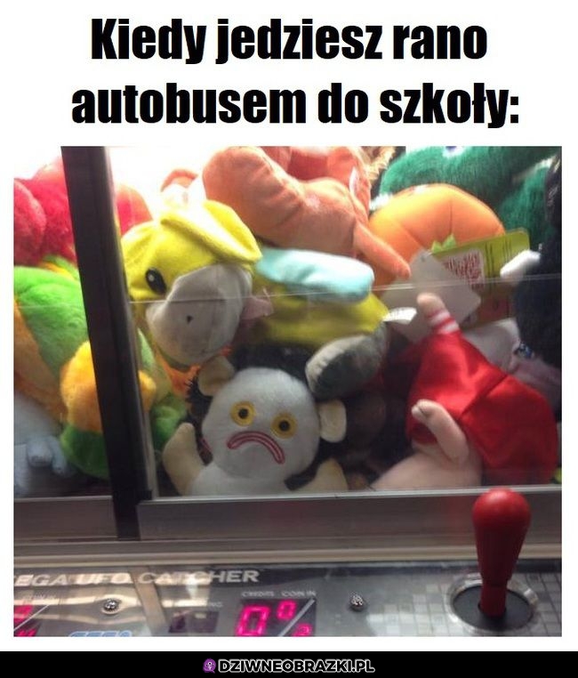 Ten moment