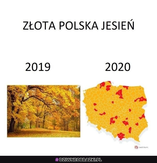 Polska złota jesień