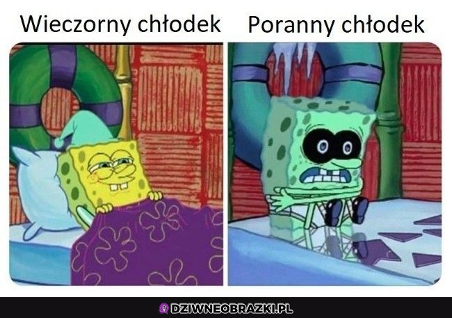 Dwa rodzaje chłodku