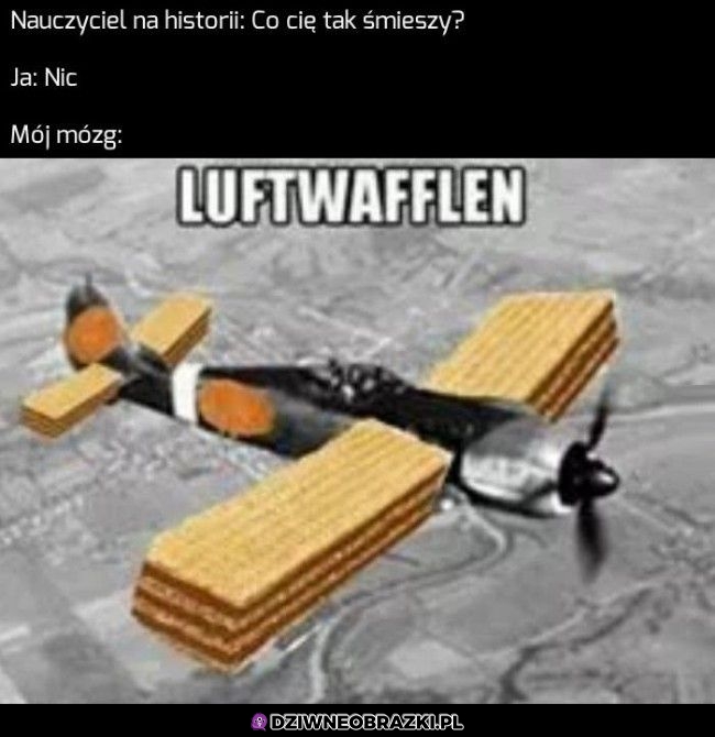 Dzięki mózgu