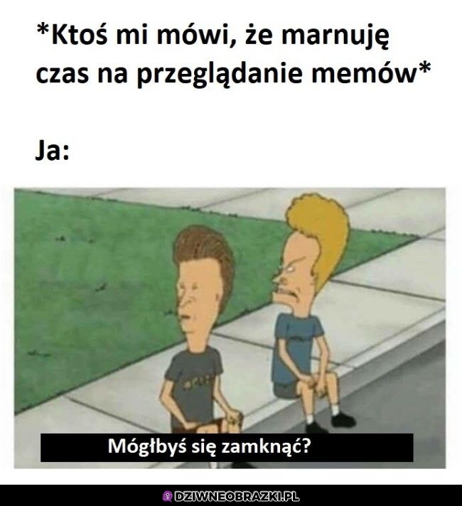 Ktoś Cię pytał o zdanie?