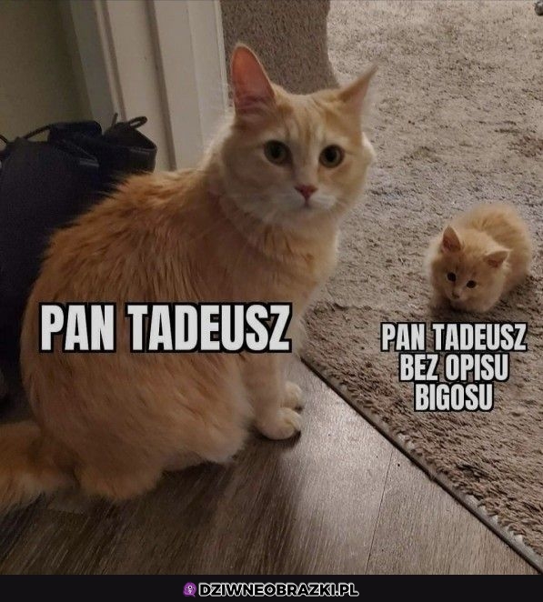 Bigosik najważniejszy
