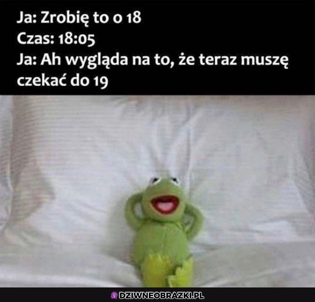 Zacznę o pełnej