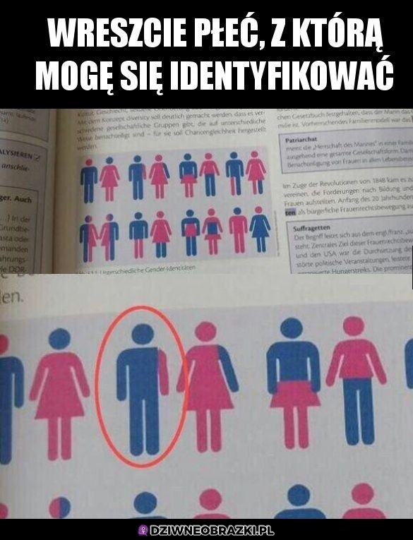 Płeć