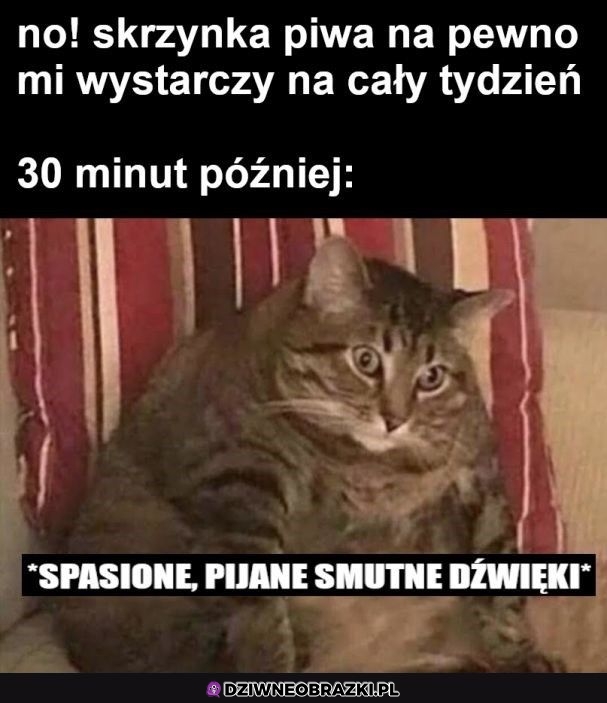 A jednak nie